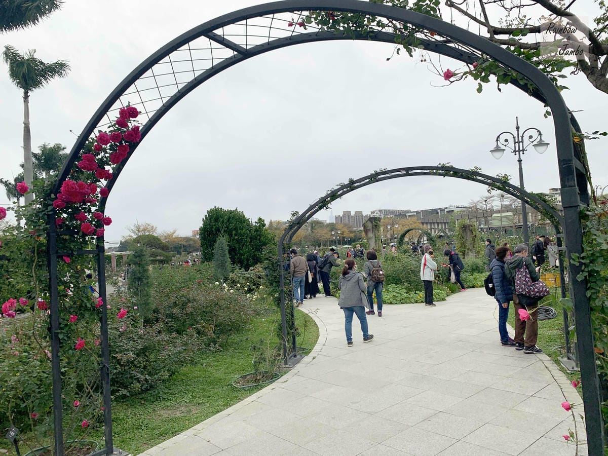 【台北中山|台北景點】花博新生園區台北玫瑰園~2022台北玫 【台北中山|台北景點】花博新生園區台北玫瑰園~2022台北玫