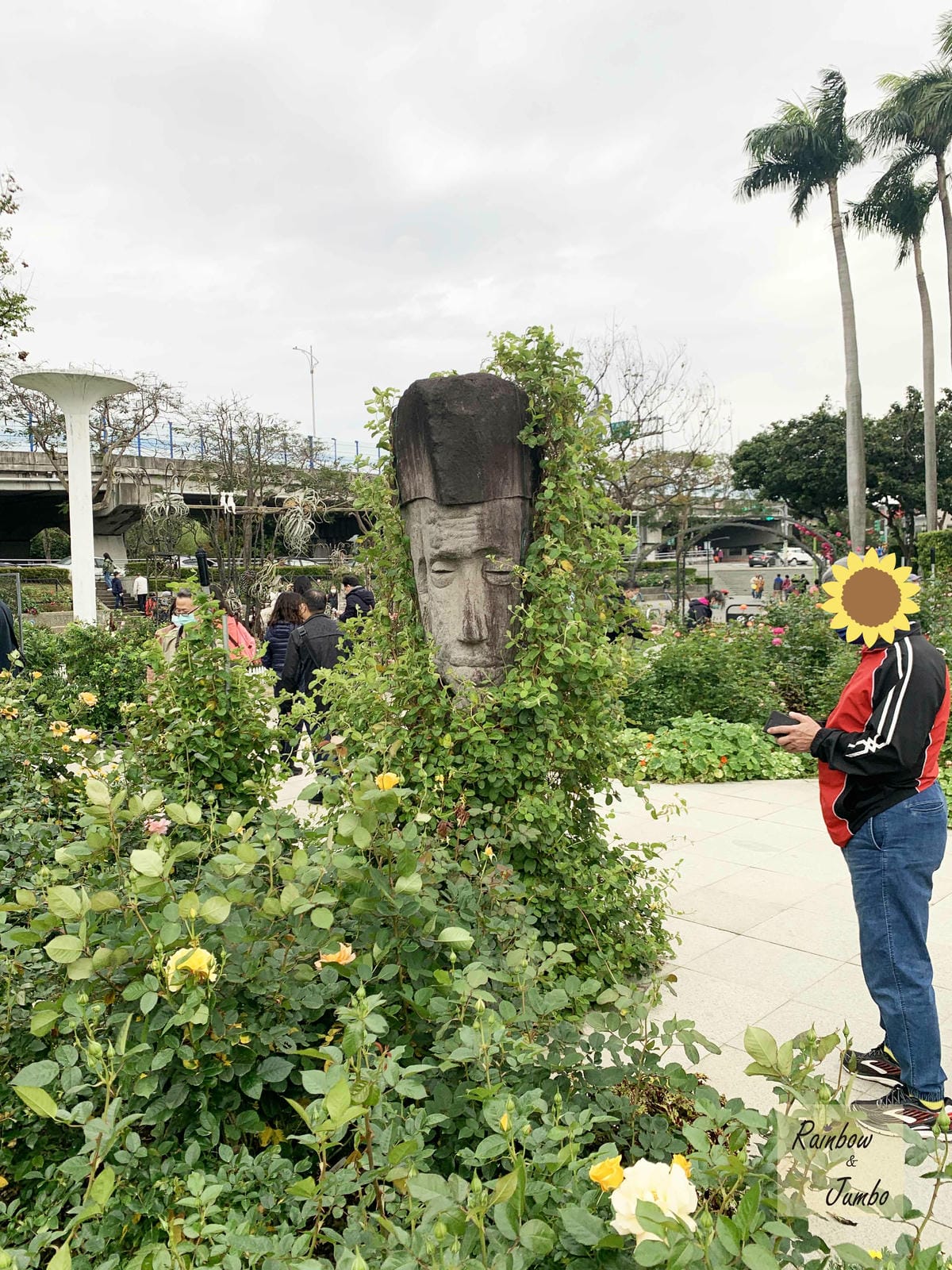 【台北中山|台北景點】花博新生園區台北玫瑰園~2022台北玫 【台北中山|台北景點】花博新生園區台北玫瑰園~2022台北玫