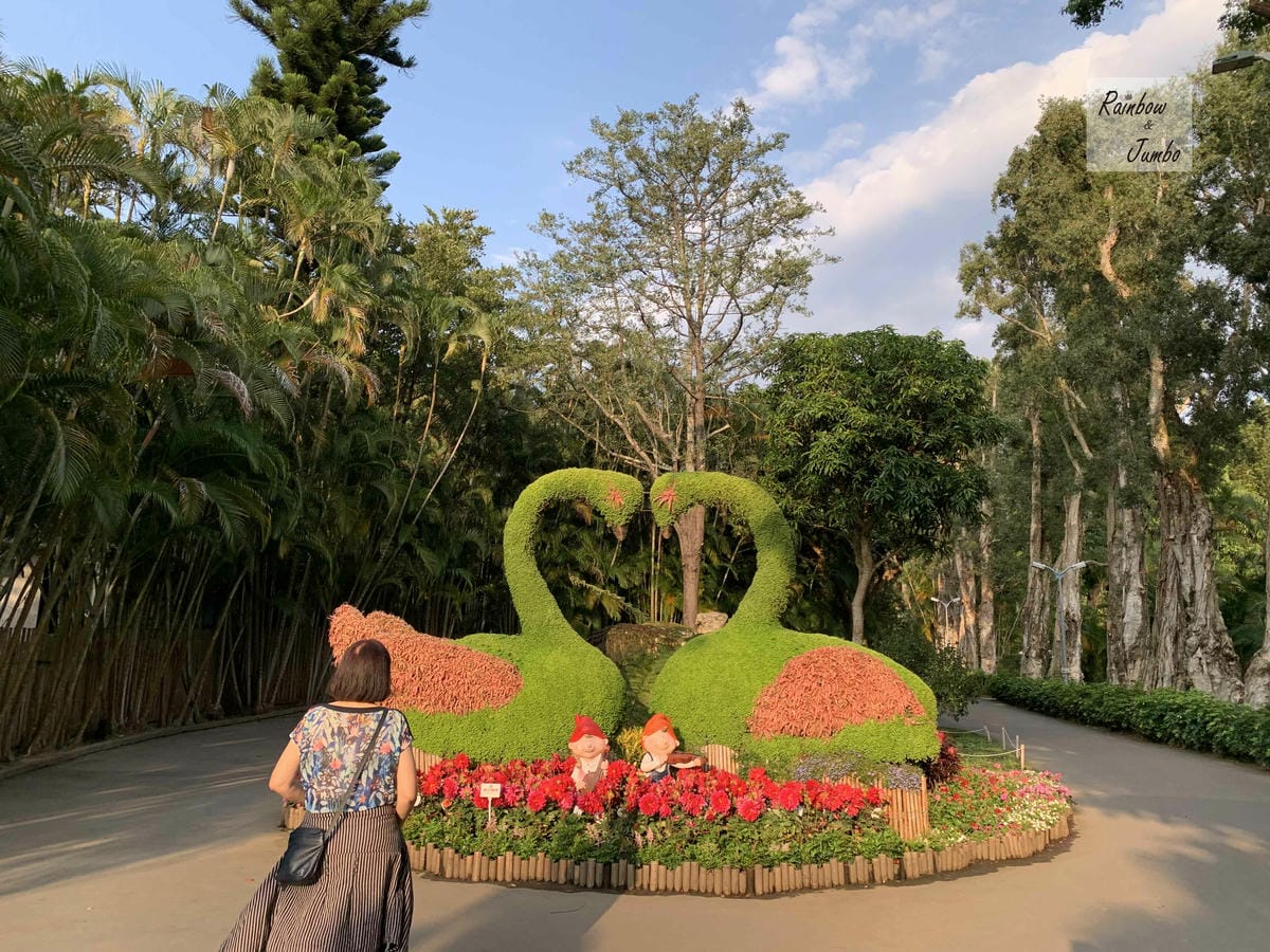 【台北士林｜台北景點】士林官邸玫瑰季～花季一發接一發，玫瑰開