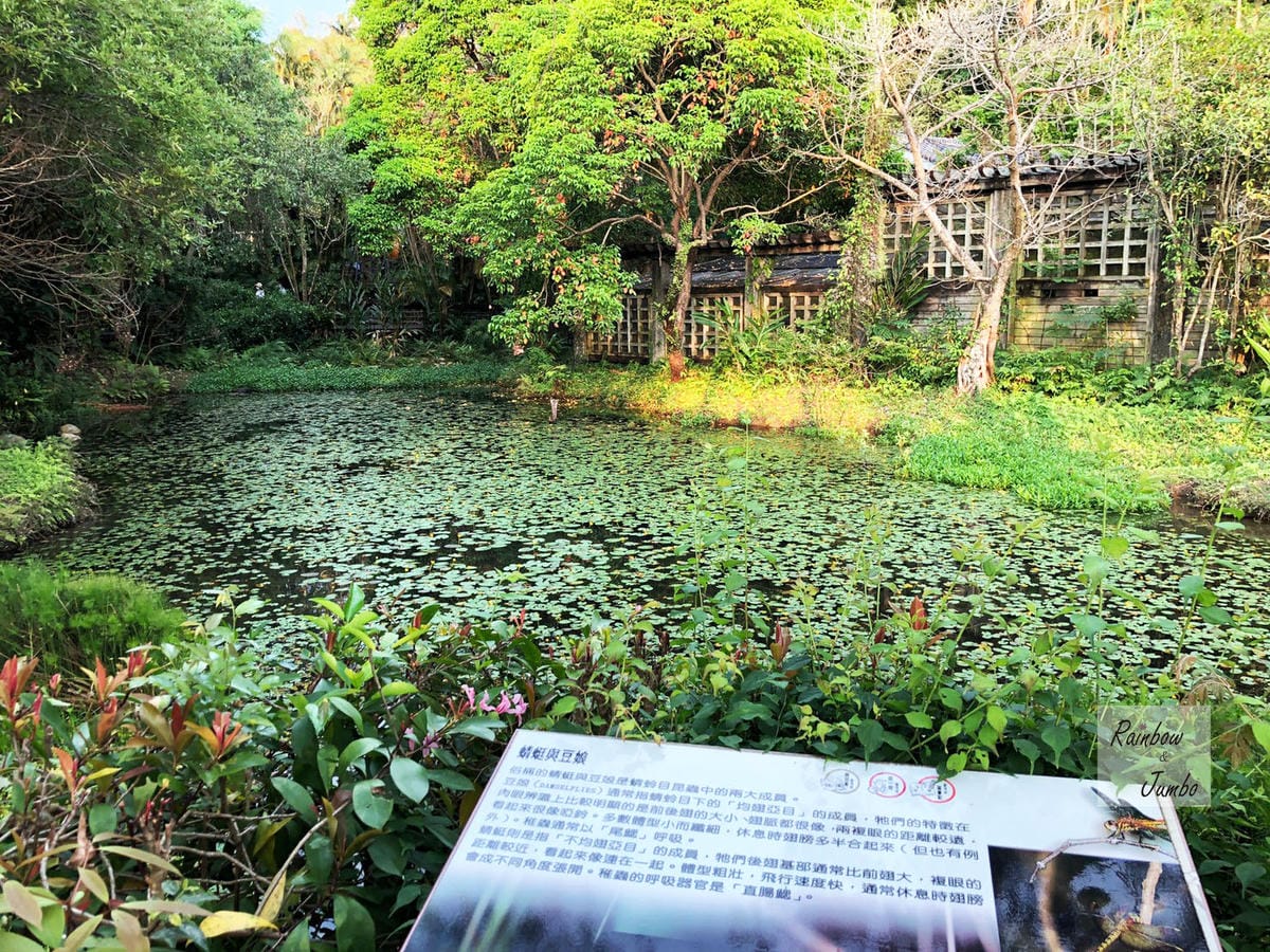 【台北士林｜台北景點】士林官邸玫瑰季～花季一發接一發，玫瑰開