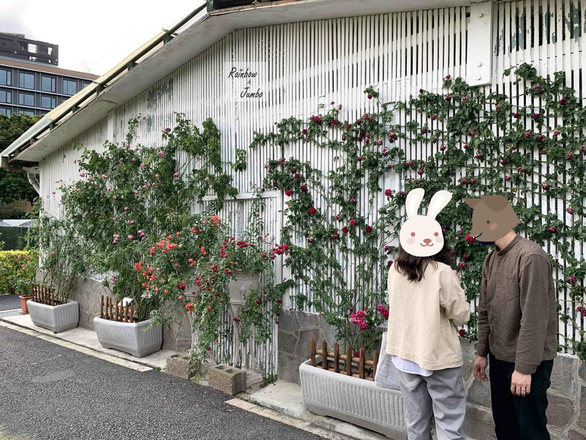 【台北士林｜台北景點】士林官邸玫瑰季～花季一發接一發，玫瑰開