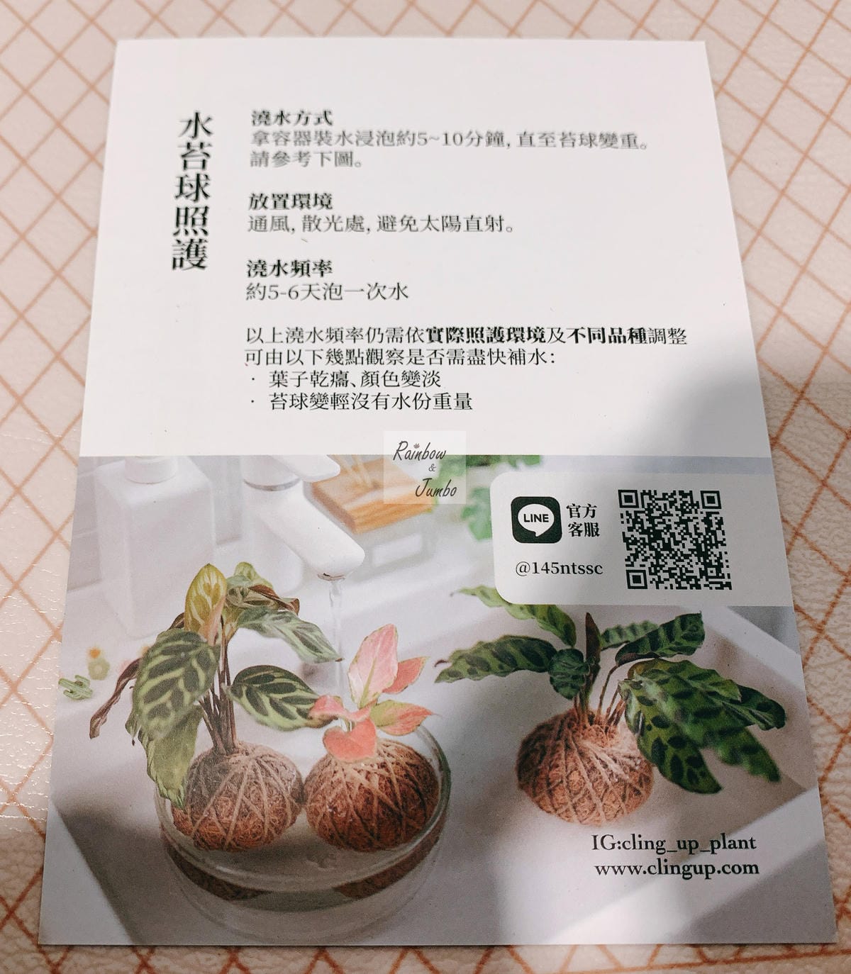 【生活x手做】手作體驗活動|CLING植琢|水苔球手作|馬拉 【生活x手做】手作體驗活動|CLING植琢|水苔球手作|馬拉