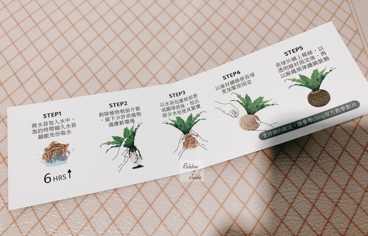 【生活x手做】手作體驗活動|CLING植琢|水苔球手作|馬拉 【生活x手做】手作體驗活動|CLING植琢|水苔球手作|馬拉