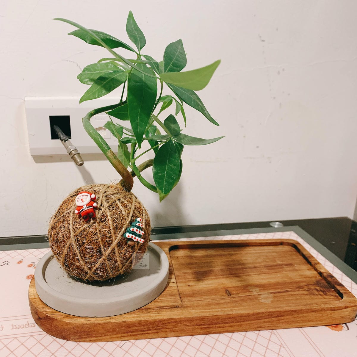 【生活x手做】手作體驗活動|CLING植琢|水苔球手作|馬拉 【生活x手做】手作體驗活動|CLING植琢|水苔球手作|馬拉