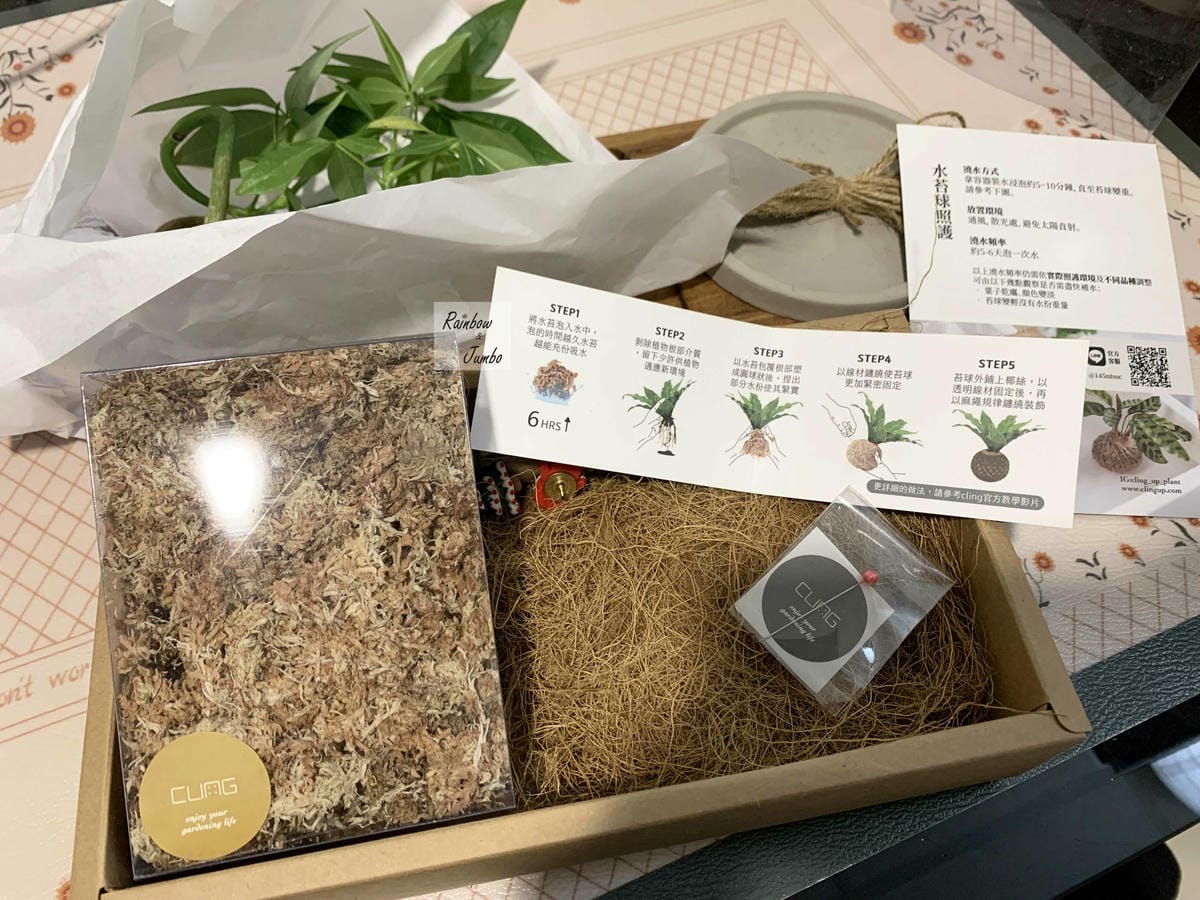 【生活x手做】手作體驗活動|CLING植琢|水苔球手作|馬拉 【生活x手做】手作體驗活動|CLING植琢|水苔球手作|馬拉