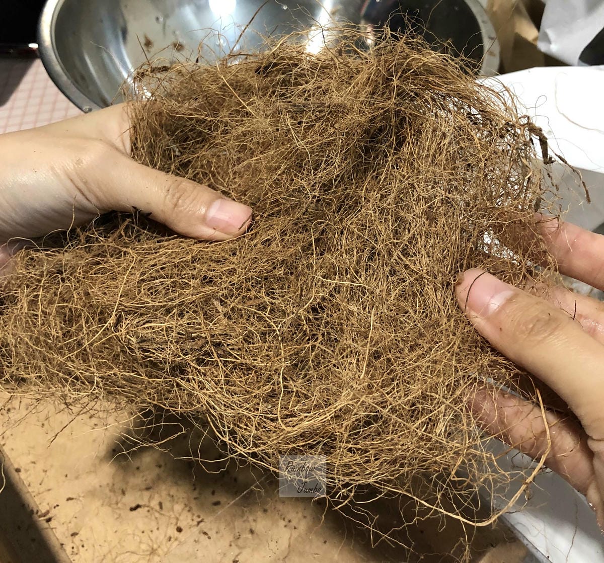 【生活x手做】手作體驗活動|CLING植琢|水苔球手作|馬拉 【生活x手做】手作體驗活動|CLING植琢|水苔球手作|馬拉