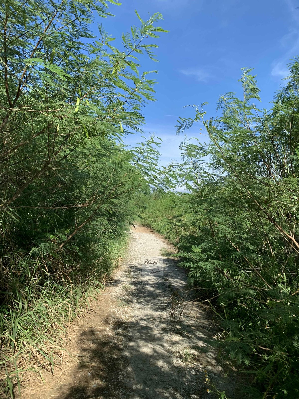 【澎湖景點】澎湖自然美景|世界級自然景觀「池東大菓葉柱狀玄武 【澎湖景點】澎湖自然美景|世界級自然景觀「池東大菓葉柱狀玄武