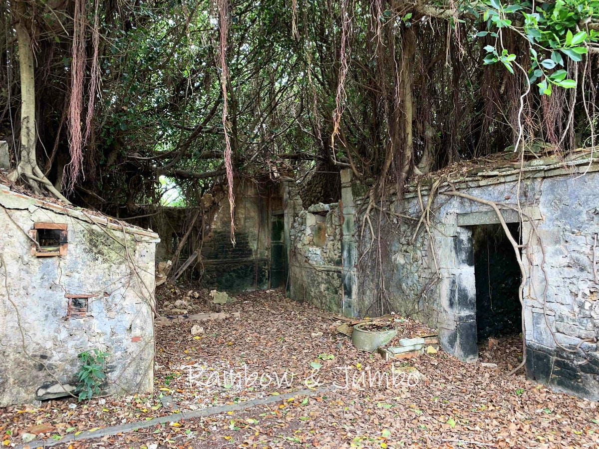 【澎湖湖西|澎湖景點】澎湖原始村莊風貌的南寮古厝|IG熱門打 【澎湖湖西|澎湖景點】澎湖原始村莊風貌的南寮古厝|IG熱門打