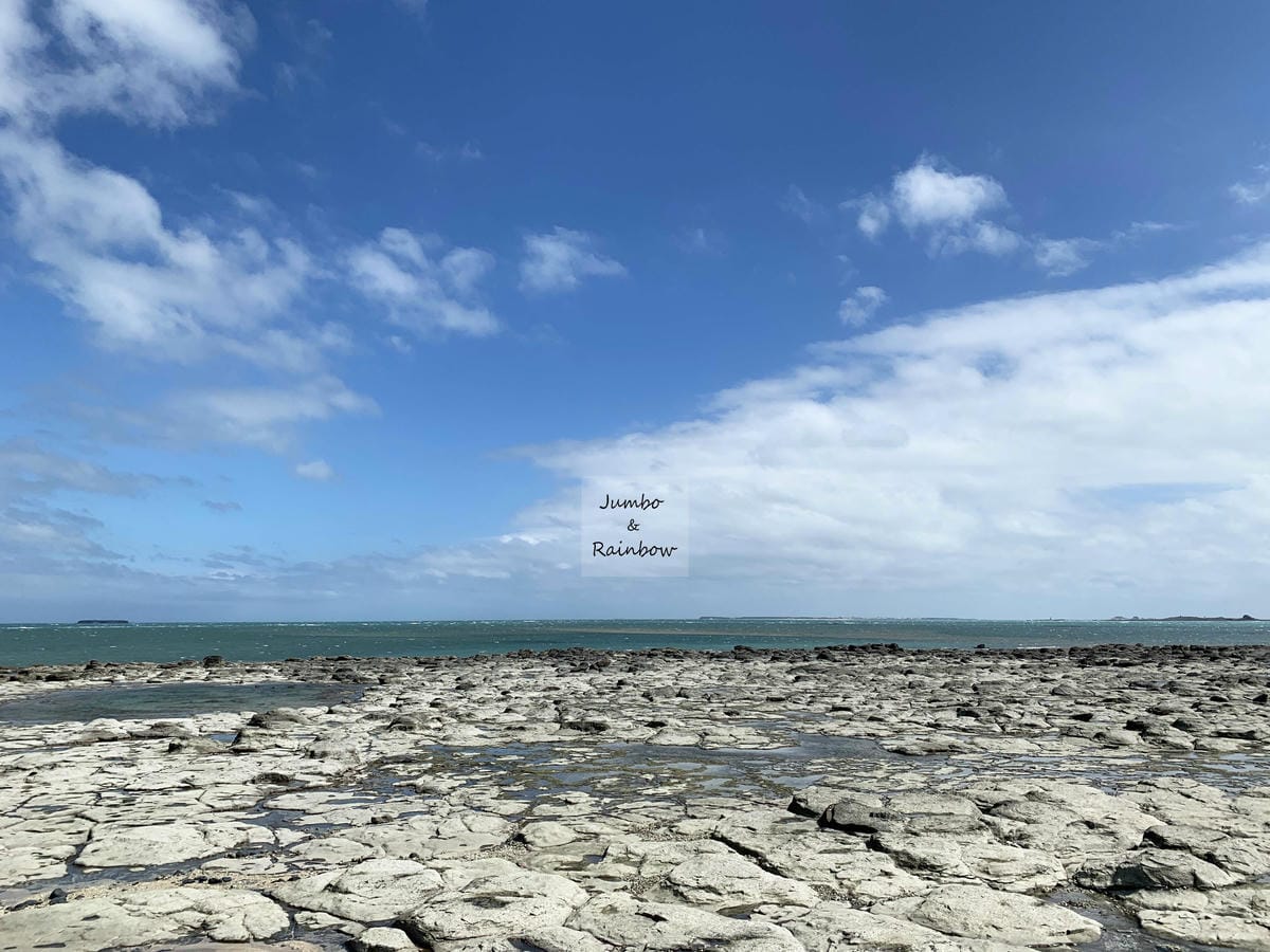 【澎湖景點｜澎湖旅遊】澎湖白沙｜澎湖後寮天堂路｜有標示牌的打