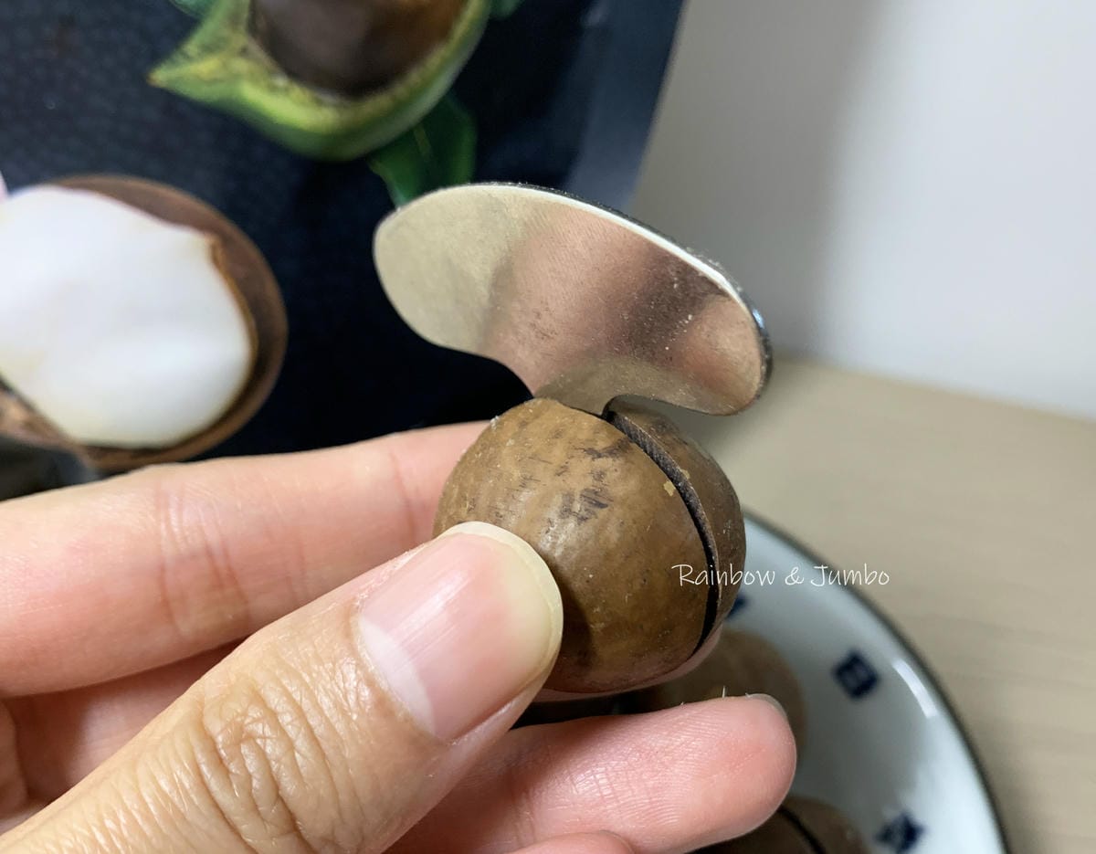 【不專業食記】澳洲零食開箱｜macadamias austr