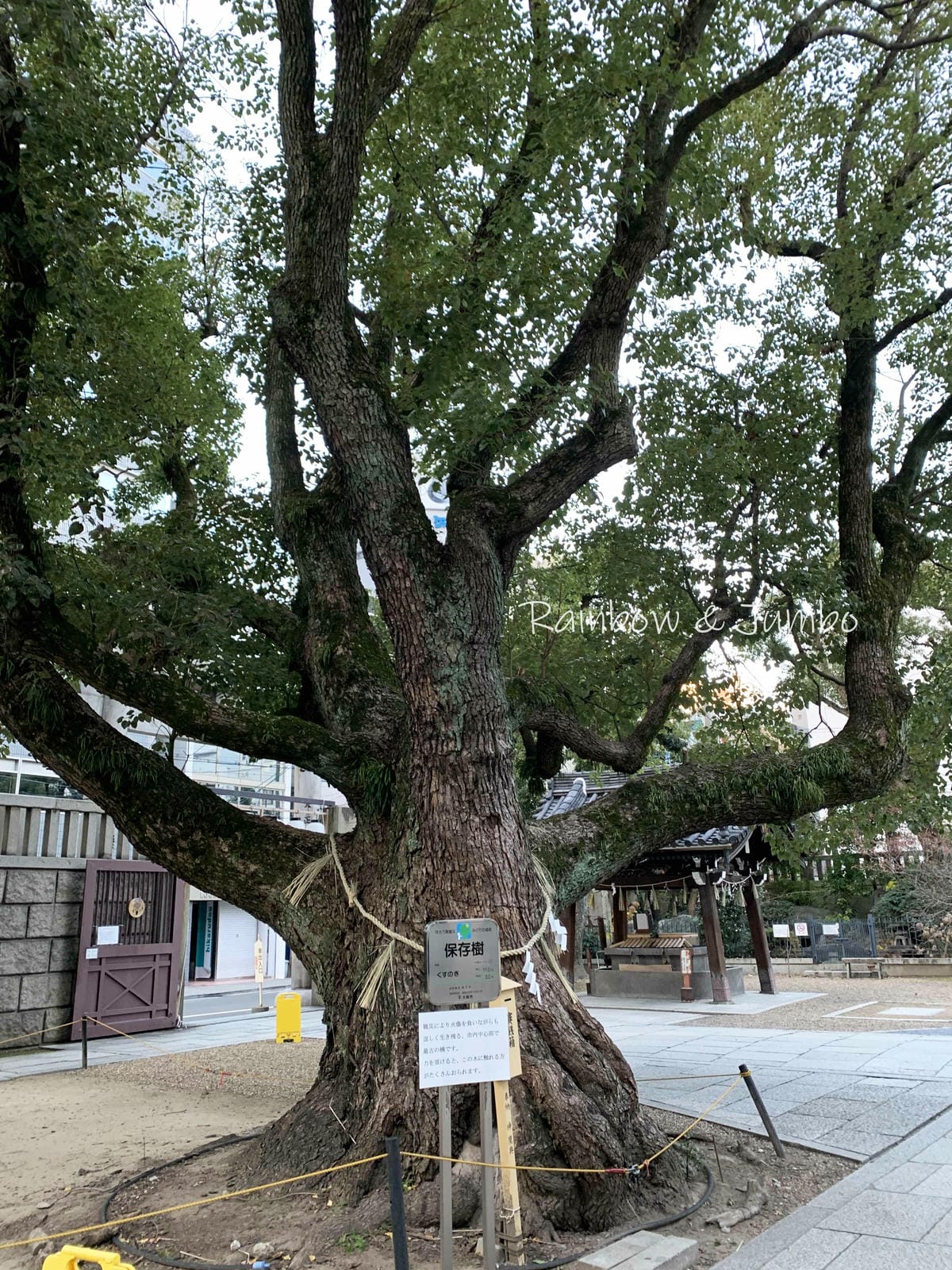 【日本大阪|大阪景點】2023 jumbo日本京阪跨年自由行 【日本大阪|大阪景點】2023 jumbo日本京阪跨年自由行