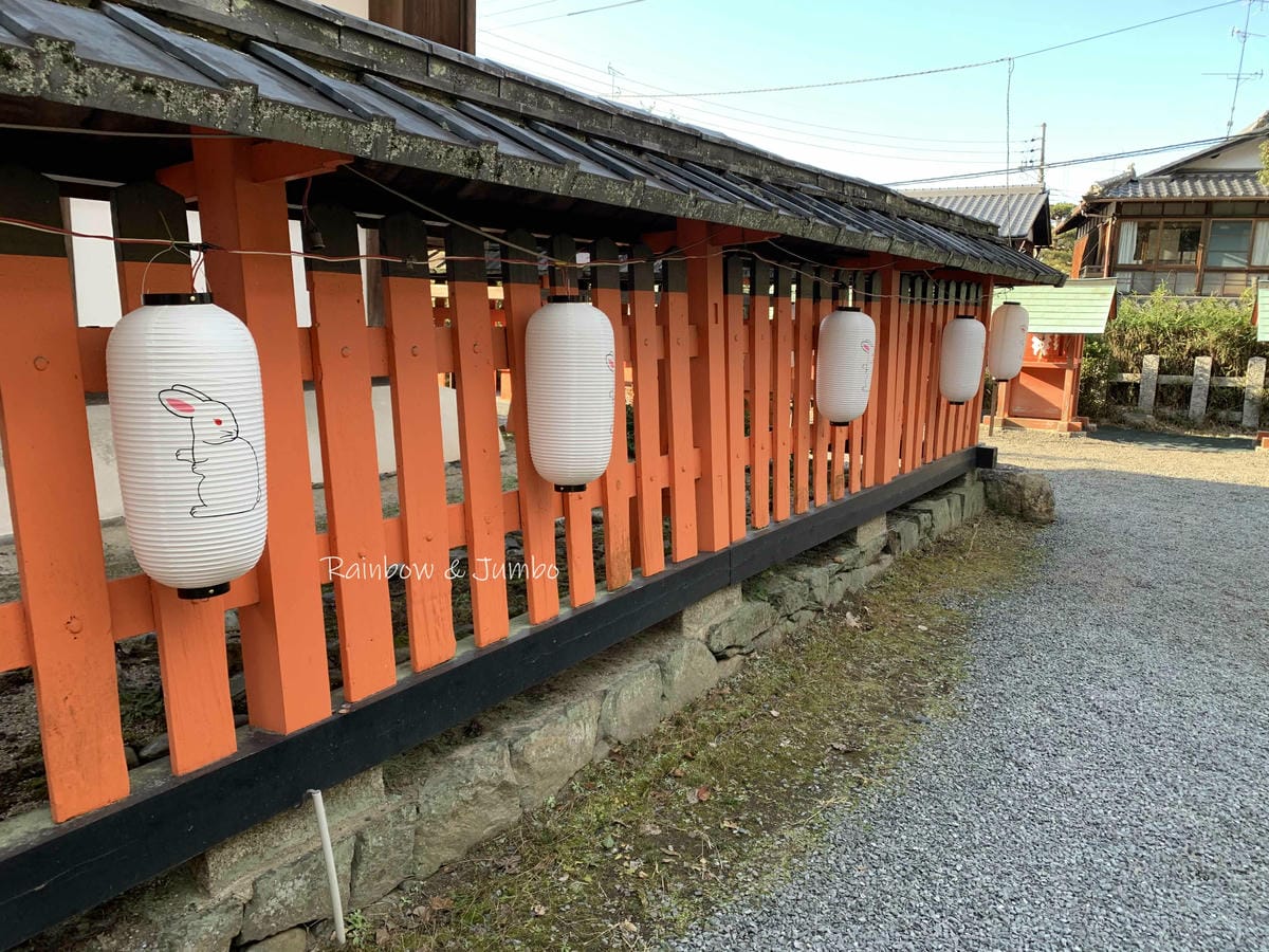 【日本京阪行程】京都自由行｜京都宇治｜與兔兔們有緣的宇治上神
