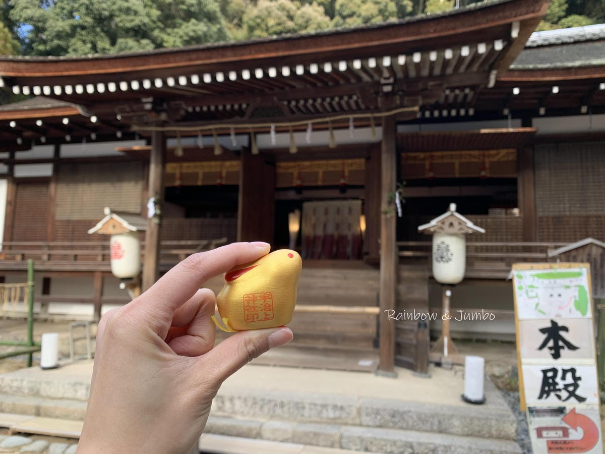 【日本京阪行程】京都自由行｜京都宇治｜與兔兔們有緣的宇治上神