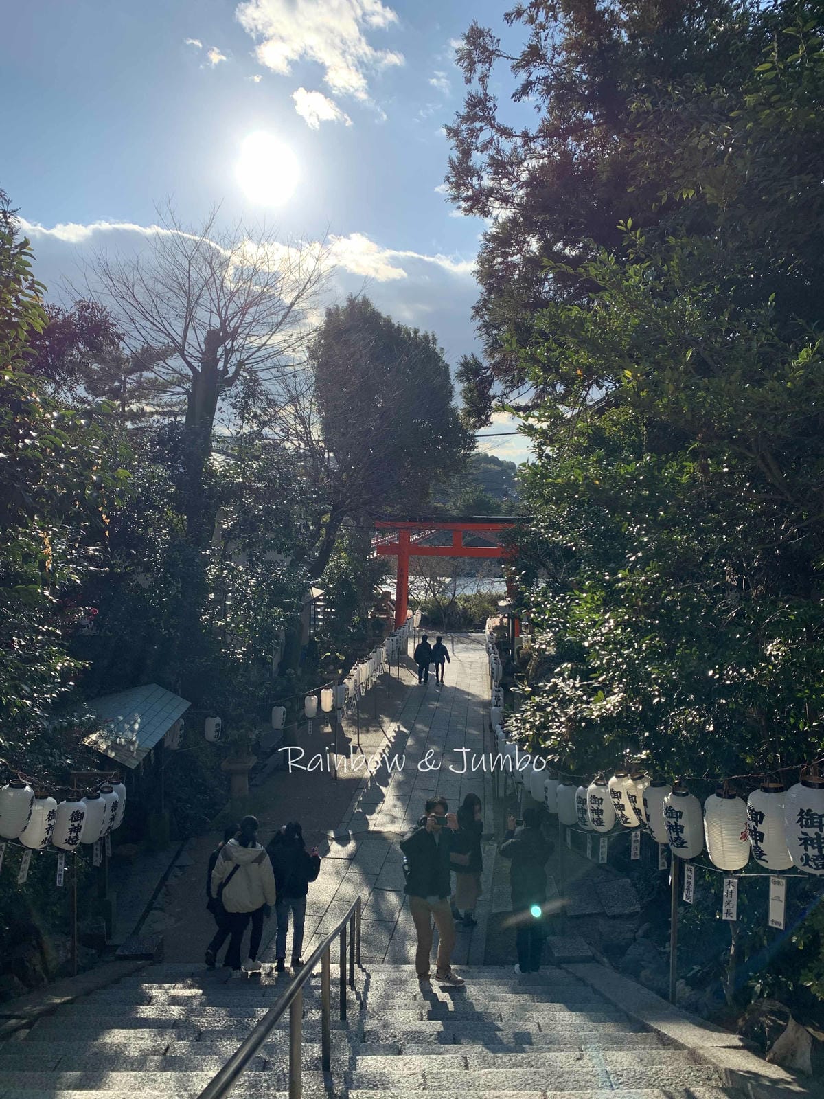 【日本京阪行程】京都自由行｜京都宇治｜與兔兔們有緣的宇治上神