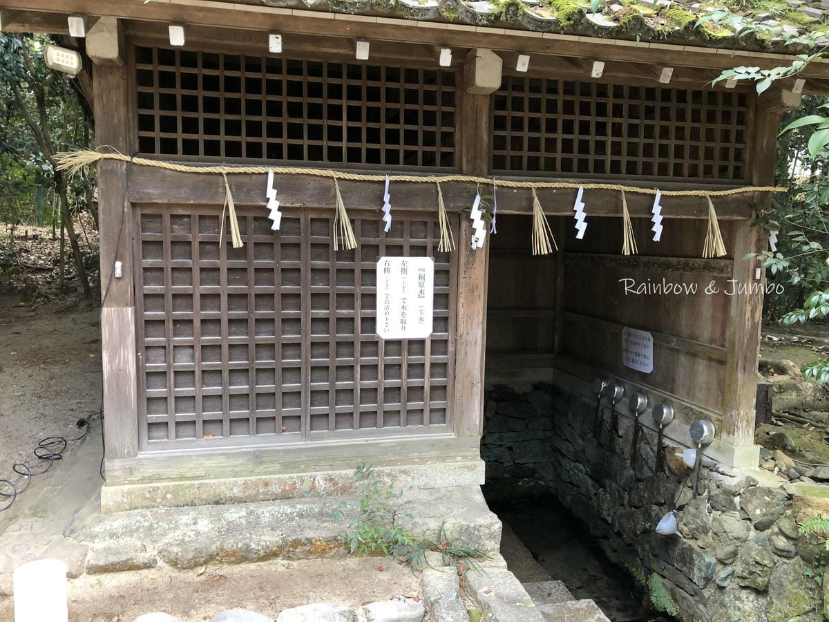 【日本京阪行程】京都自由行｜京都宇治｜與兔兔們有緣的宇治上神