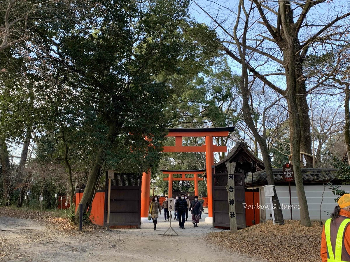【日本京阪行程】京都|下鴨神社(賀茂御祖神社)新年參拜、水籤 【日本京阪行程】京都|下鴨神社(賀茂御祖神社)新年參拜、水籤
