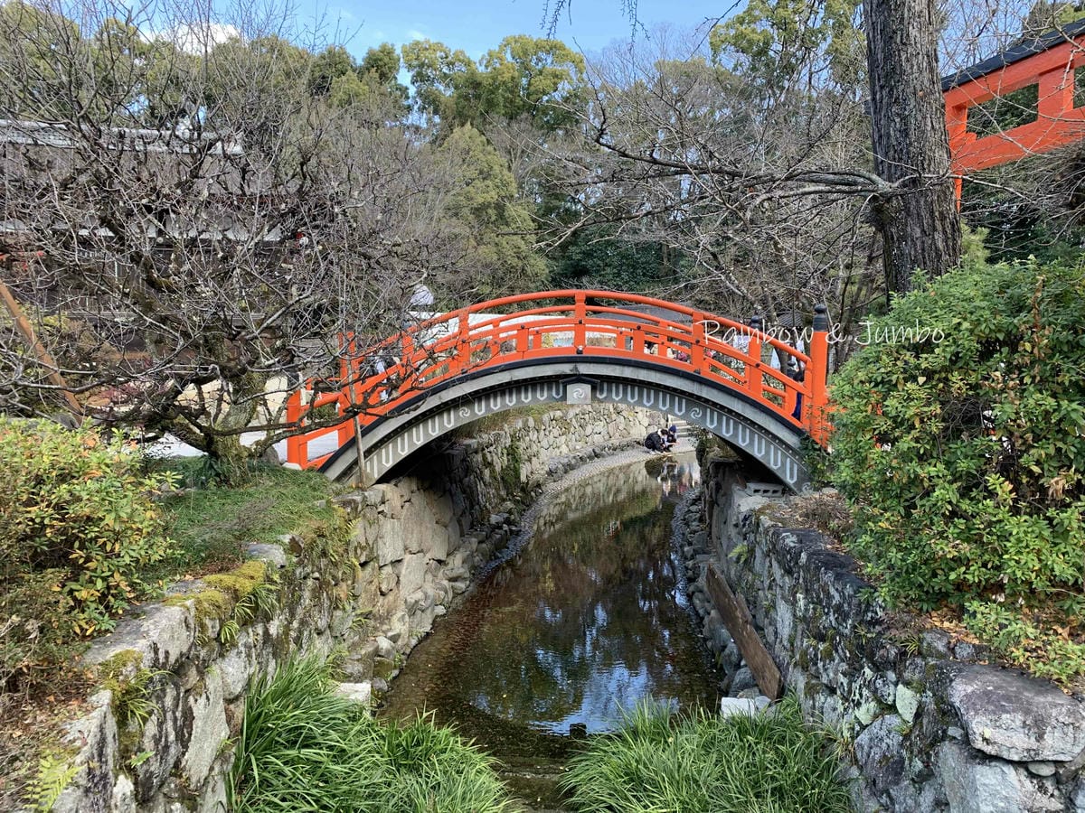 【日本京阪行程】京都|下鴨神社(賀茂御祖神社)新年參拜、水籤 【日本京阪行程】京都|下鴨神社(賀茂御祖神社)新年參拜、水籤