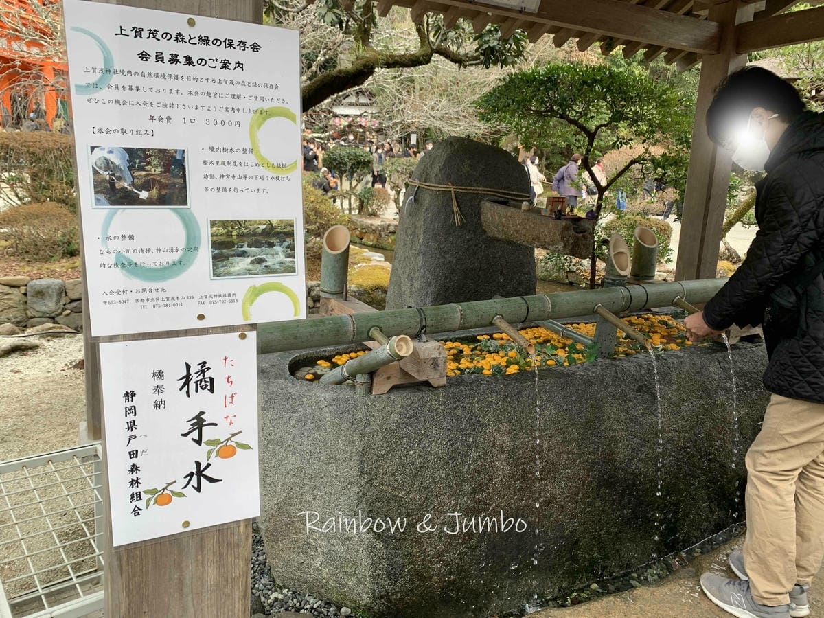 【日本京阪行程】京都|賀茂別雷神社|到最古老的神社、跟著京都 【日本京阪行程】京都|賀茂別雷神社|到最古老的神社、跟著京都