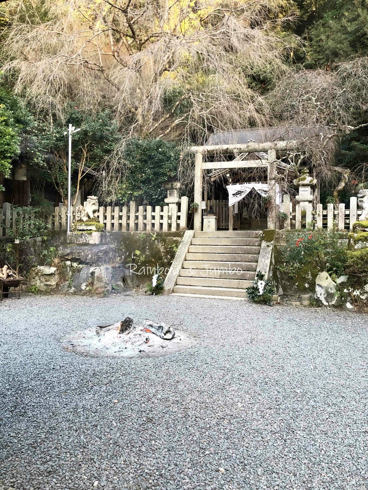 【京都景點】京都漫遊之旅|哲學之道,跟著哲學家行走思考之路( 【京都景點】京都漫遊之旅|哲學之道,跟著哲學家行走思考之路(