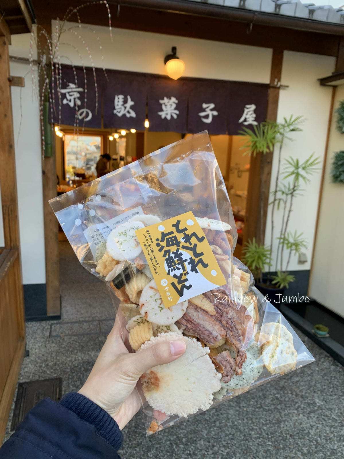 【京都景點】京都漫遊之旅|哲學之道,跟著哲學家行走思考之路( 【京都景點】京都漫遊之旅|哲學之道,跟著哲學家行走思考之路(