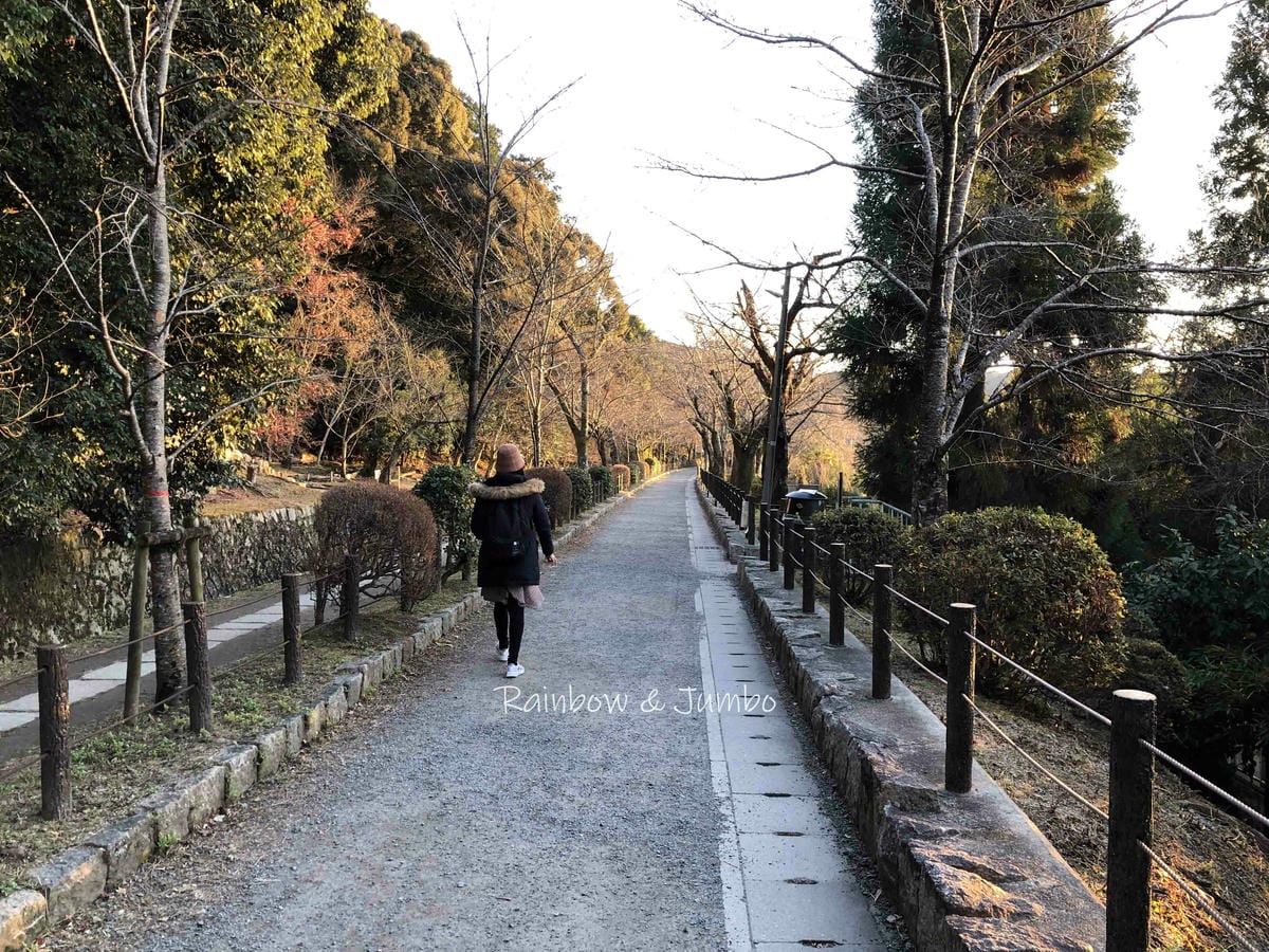【京都景點】京都漫遊之旅|哲學之道,跟著哲學家行走思考之路( 【京都景點】京都漫遊之旅|哲學之道,跟著哲學家行走思考之路(