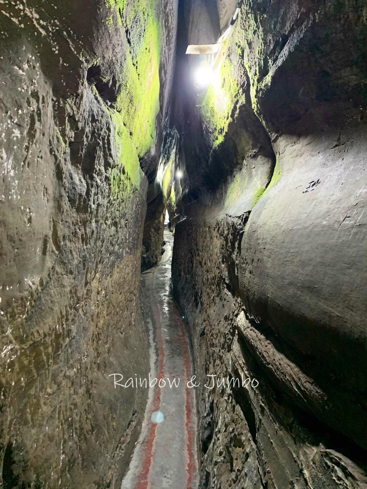 【基隆中正|基隆景點】基隆仙洞巖、佛手洞|海蝕洞穴中的佛教奇 【基隆中正|基隆景點】基隆仙洞巖、佛手洞|海蝕洞穴中的佛教奇