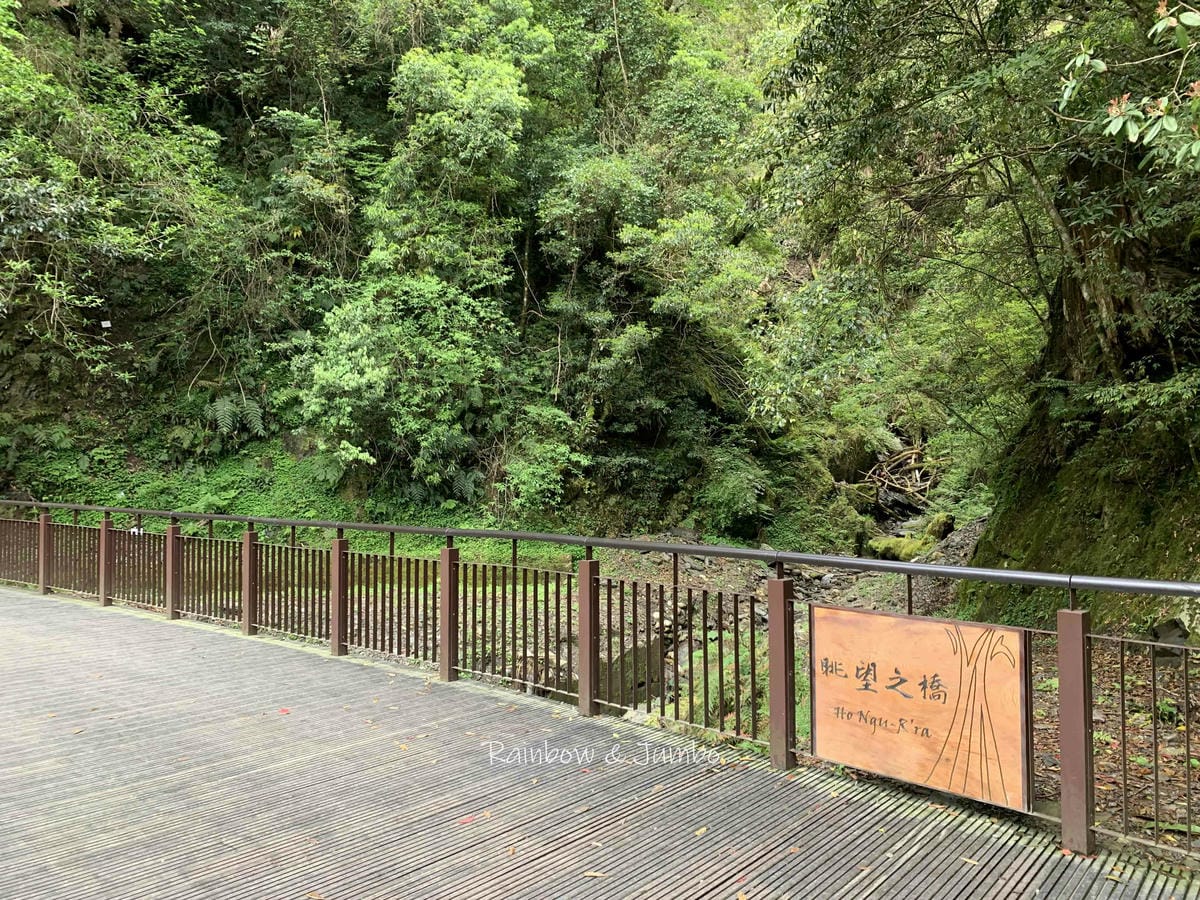 【桃園復興|桃園景點】拉拉山巨木區|拉拉山國家森林遊樂區必訪 【桃園復興|桃園景點】拉拉山巨木區|拉拉山國家森林遊樂區必訪
