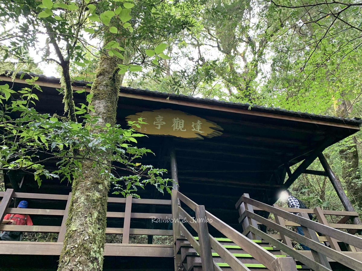 【桃園復興|桃園景點】拉拉山巨木區|拉拉山國家森林遊樂區必訪 【桃園復興|桃園景點】拉拉山巨木區|拉拉山國家森林遊樂區必訪