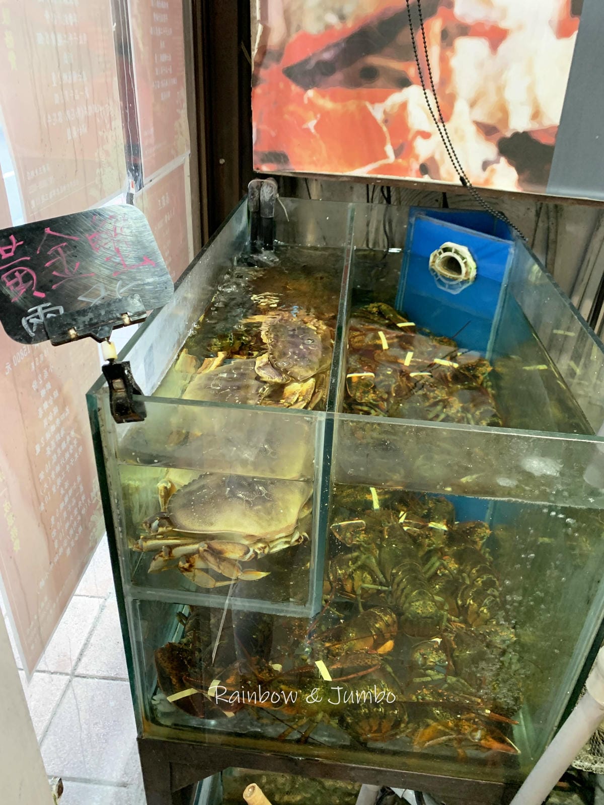 【不專業食記】台北內湖｜蒸霸王東湖店｜找城市內的新鮮海鮮就在