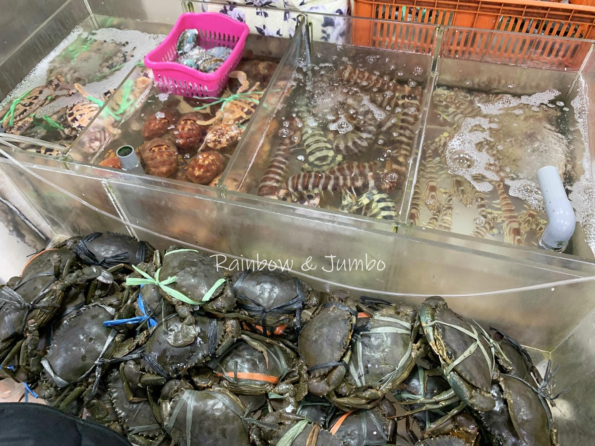 【不專業食記】桃園大園｜賜福船長的店｜價錢透明、誠信買賣、海
