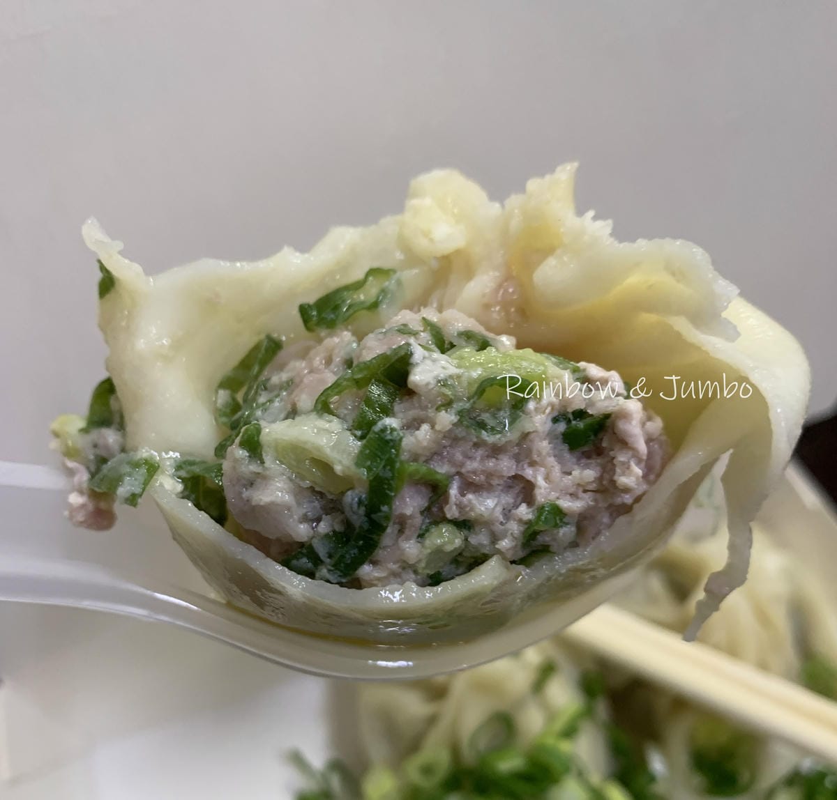 【不專業食記】苗栗頭份|鮮肉湯包|蔥花無限續,早餐就來個蔥多 【不專業食記】苗栗頭份|鮮肉湯包|蔥花無限續,早餐就來個蔥多