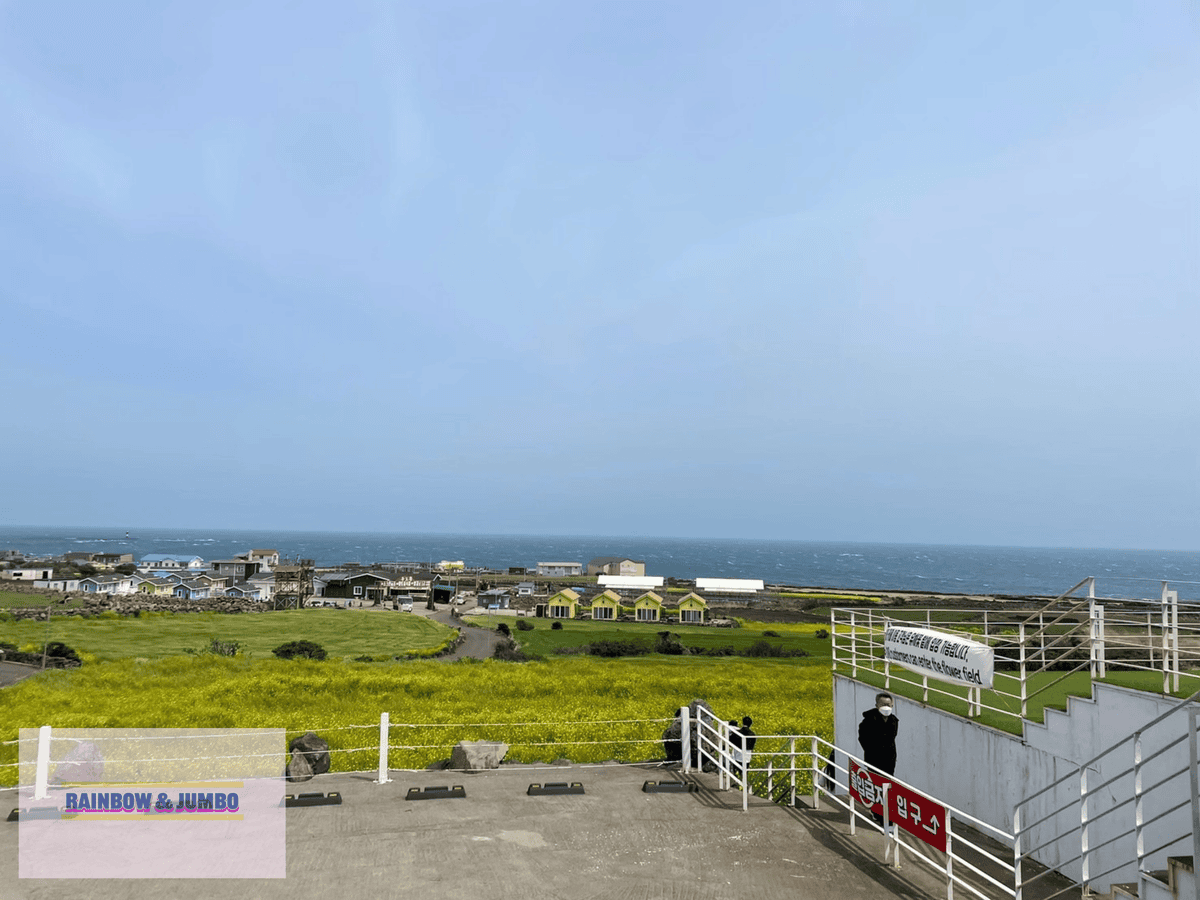 2024 Rainbow濟州島自由行|跳島去牛島-밭318( 2024 Rainbow濟州島自由行|跳島去牛島-밭318(
