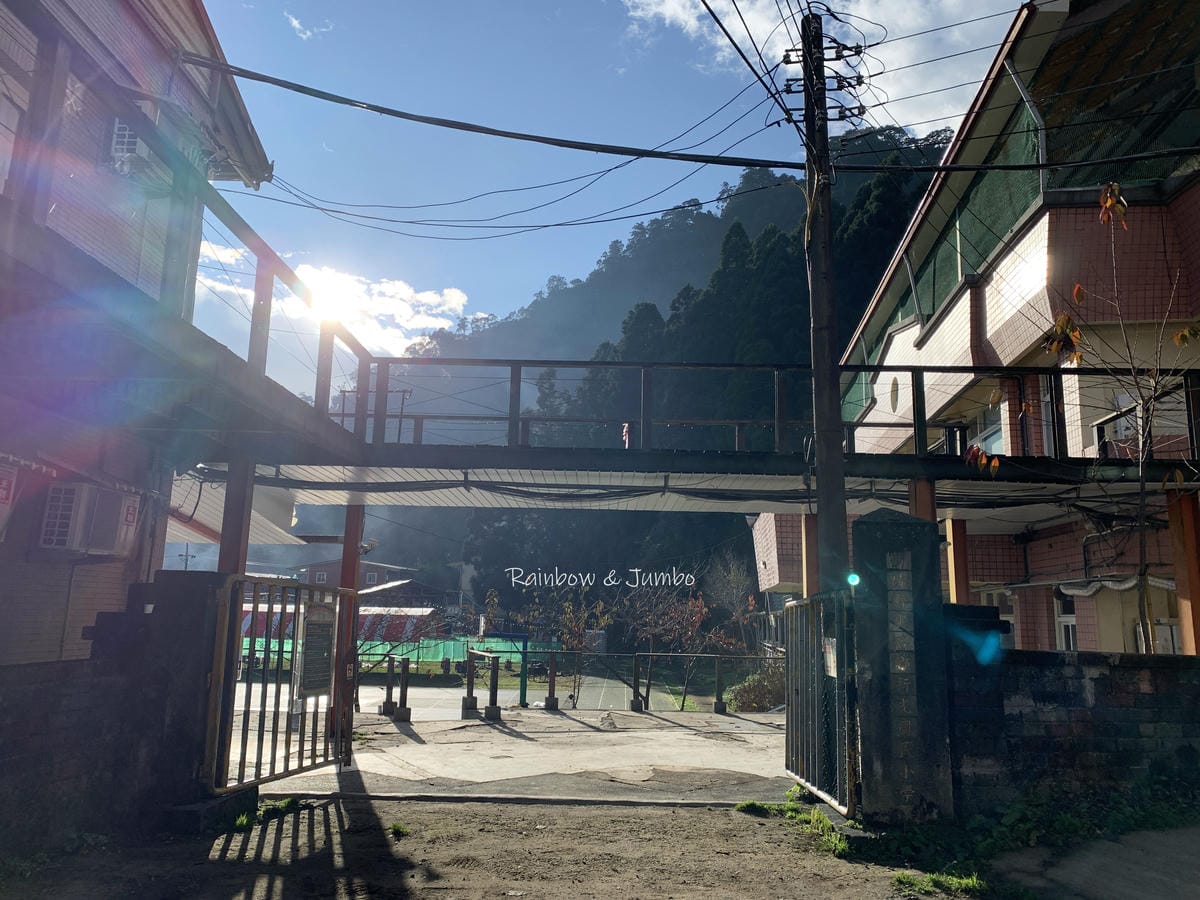 【新竹旅遊】新竹尖石|司馬庫斯跨年|新光部落跨年活動,族人團 【新竹旅遊】新竹尖石|司馬庫斯跨年|新光部落跨年活動,族人團