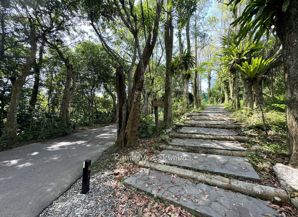 【新北旅遊|新北新店】文山農場螢火蟲季|台北賞螢推薦地,文山 【新北旅遊|新北新店】文山農場螢火蟲季|台北賞螢推薦地,文山