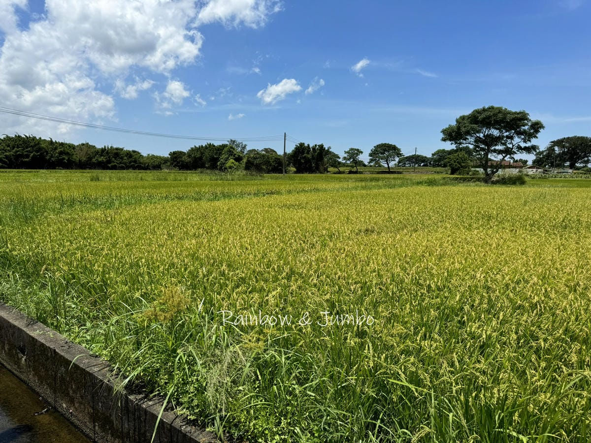 分段徒步環島|Day7桃園竹圍漁港-桃園中壢|徒步環島路線分 分段徒步環島|Day7桃園竹圍漁港-桃園中壢|徒步環島路線分