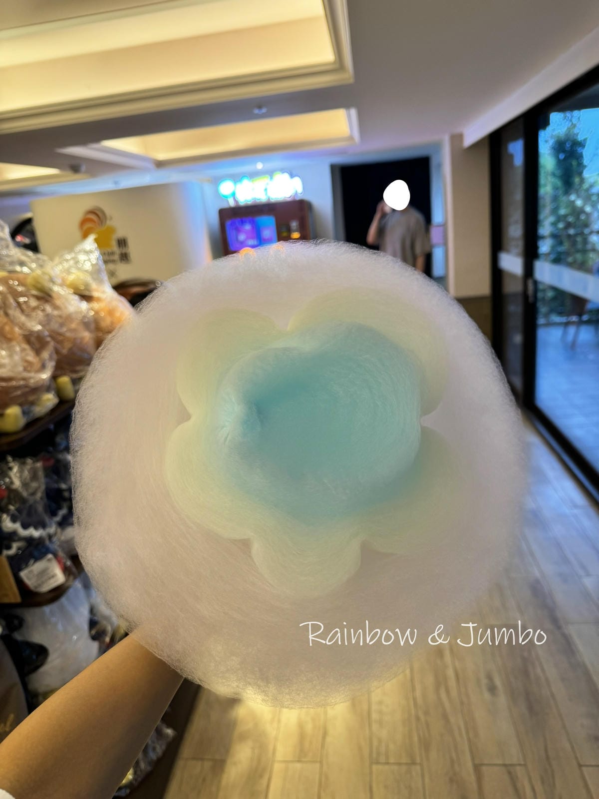 【桃園旅遊|桃園龍潭】朋趣露營車|天成集團的豪華露營車,結合 【桃園旅遊|桃園龍潭】朋趣露營車|天成集團的豪華露營車,結合