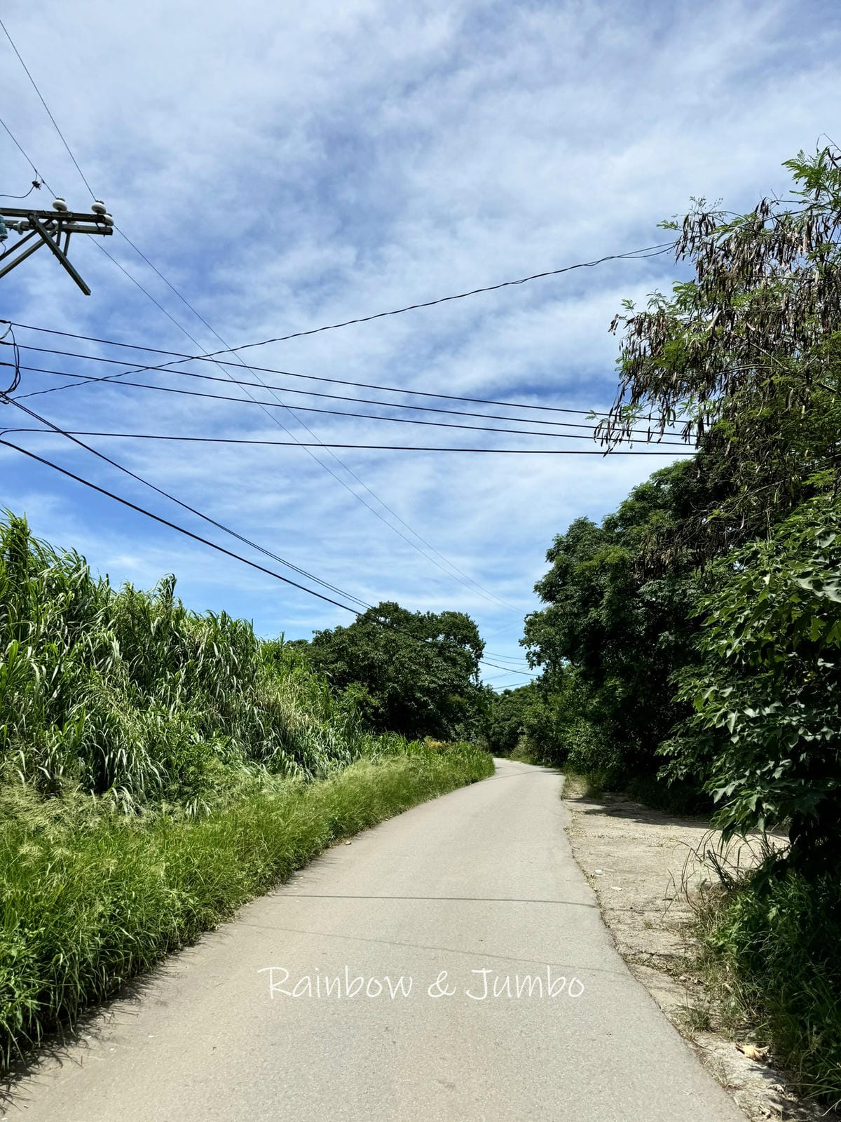 分段徒步環島|Day8桃園中壢-富岡車站|平凡無華的稻田之路 分段徒步環島|Day8桃園中壢-富岡車站|平凡無華的稻田之路