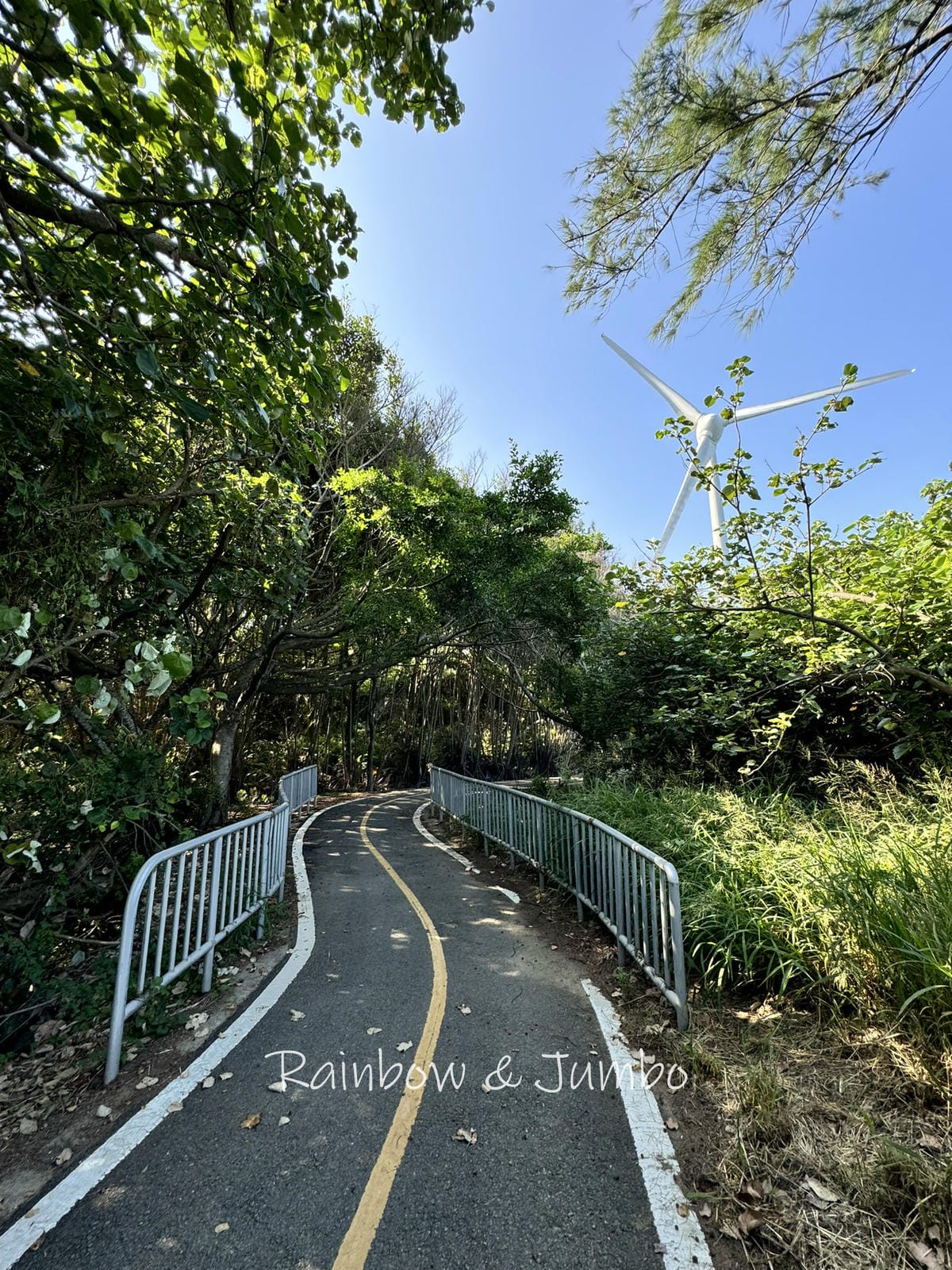 分段徒步環島|Day11苗栗竹南崎頂車站-苗栗後龍|崎頂車站 分段徒步環島|Day11苗栗竹南崎頂車站-苗栗後龍|崎頂車站
