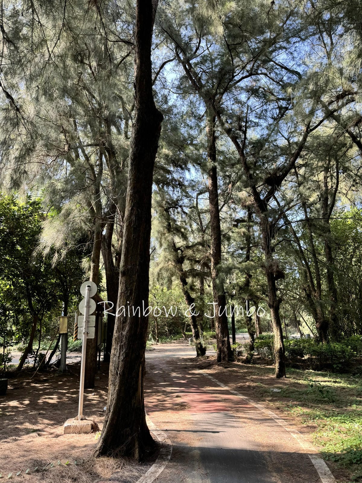 分段徒步環島|Day11苗栗竹南崎頂車站-苗栗後龍|崎頂車站 分段徒步環島|Day11苗栗竹南崎頂車站-苗栗後龍|崎頂車站