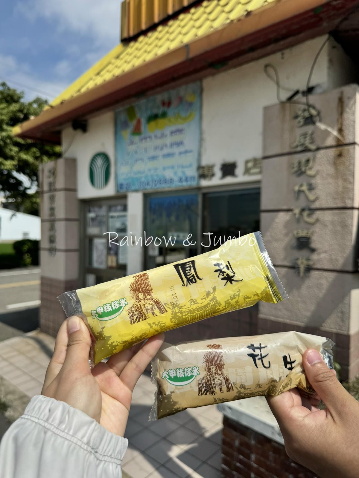 分段徒步環島|Day 13通霄車站-台中大甲|慈雲寺、苑裡車 分段徒步環島|Day 13通霄車站-台中大甲|慈雲寺、苑裡車