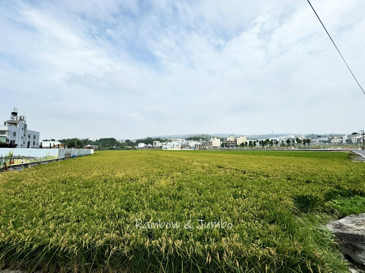 分段徒步環島｜Day 15台中龍井－彰化市｜龍井車站、大肚車