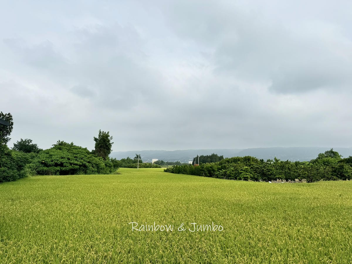 分段徒步環島|Day 16彰化市-彰化田中|金城旅舍、阿泉爌 分段徒步環島|Day 16彰化市-彰化田中|金城旅舍、阿泉爌