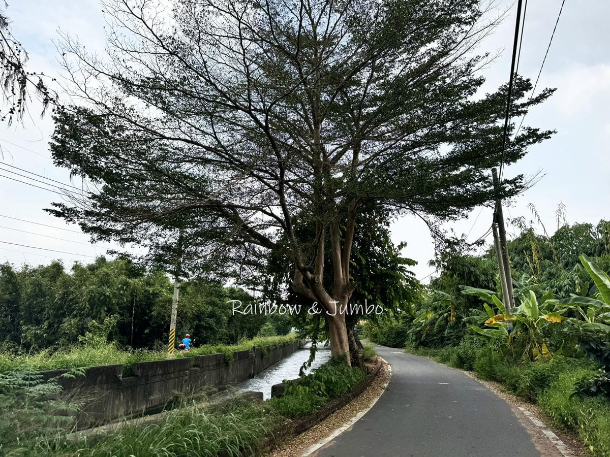分段徒步環島|Day 16彰化市-彰化田中|金城旅舍、阿泉爌 分段徒步環島|Day 16彰化市-彰化田中|金城旅舍、阿泉爌