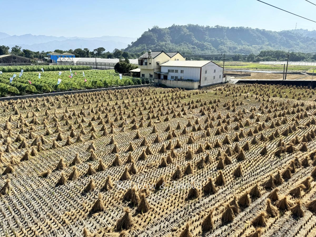 分段徒步環島|Day 17彰化田中-雲林斗六|彰化高鐵站、田 分段徒步環島|Day 17彰化田中-雲林斗六|彰化高鐵站、田