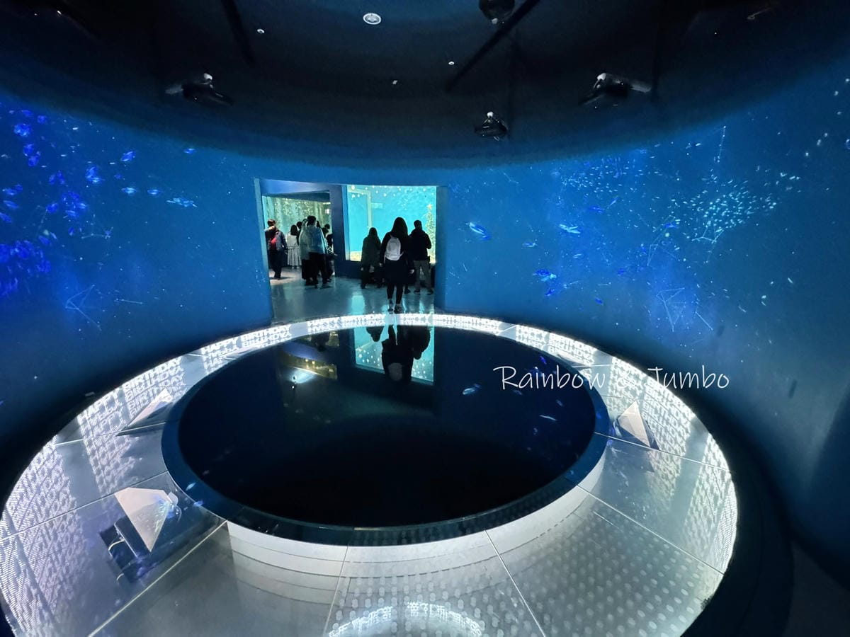 【桃園中壢|中壢景點】Xpark|北部最大水族館,高鐵桃園站 【桃園中壢|中壢景點】Xpark|北部最大水族館,高鐵桃園站