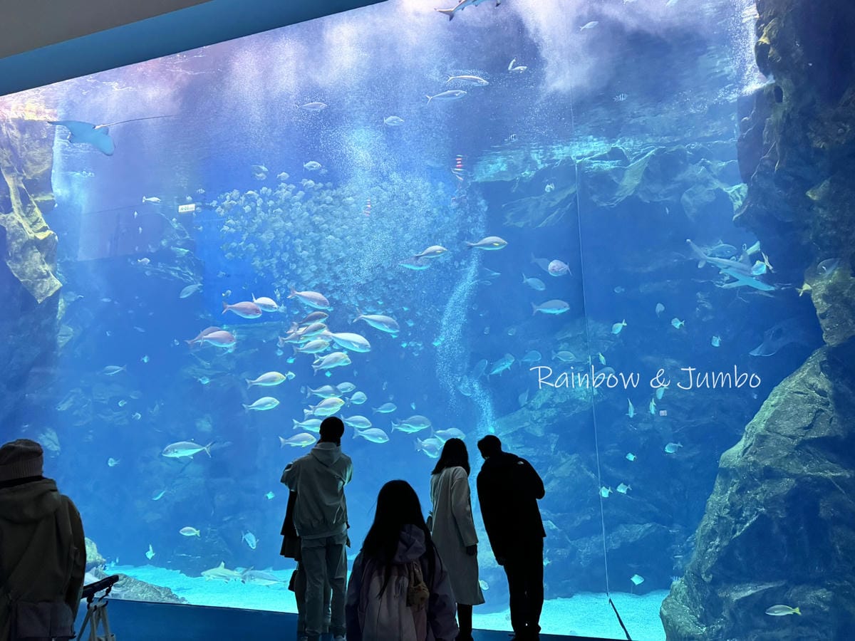 【桃園中壢|中壢景點】Xpark|北部最大水族館,高鐵桃園站 【桃園中壢|中壢景點】Xpark|北部最大水族館,高鐵桃園站