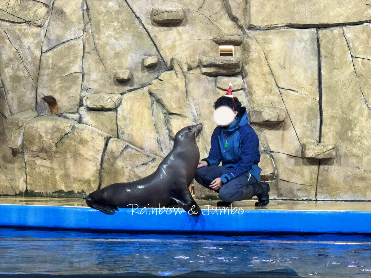 【桃園中壢|中壢景點】Xpark|北部最大水族館,高鐵桃園站 【桃園中壢|中壢景點】Xpark|北部最大水族館,高鐵桃園站