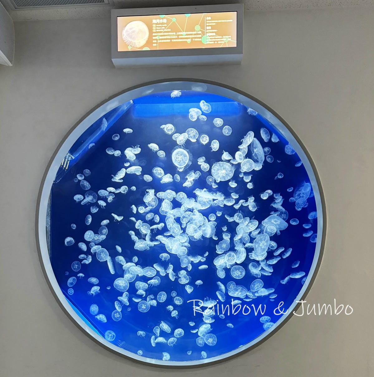 【桃園中壢|中壢景點】Xpark|北部最大水族館,高鐵桃園站 【桃園中壢|中壢景點】Xpark|北部最大水族館,高鐵桃園站