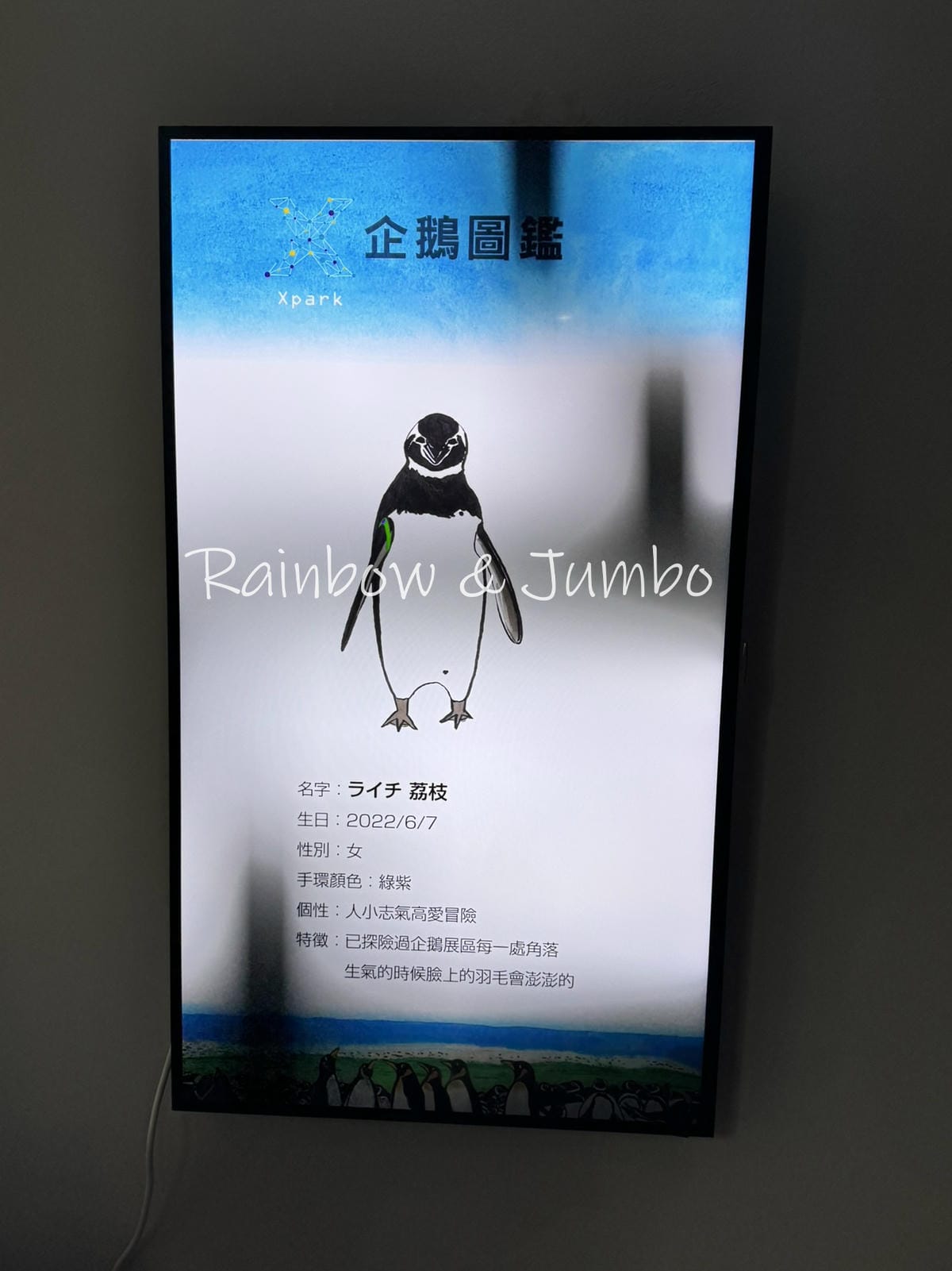 【桃園中壢|中壢景點】Xpark|北部最大水族館,高鐵桃園站 【桃園中壢|中壢景點】Xpark|北部最大水族館,高鐵桃園站