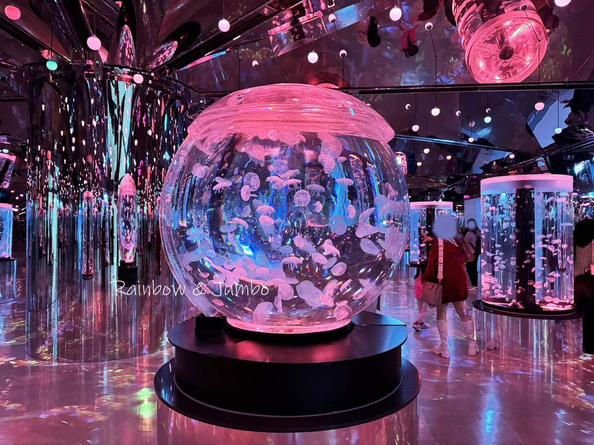 【桃園中壢|中壢景點】Xpark|北部最大水族館,高鐵桃園站 【桃園中壢|中壢景點】Xpark|北部最大水族館,高鐵桃園站